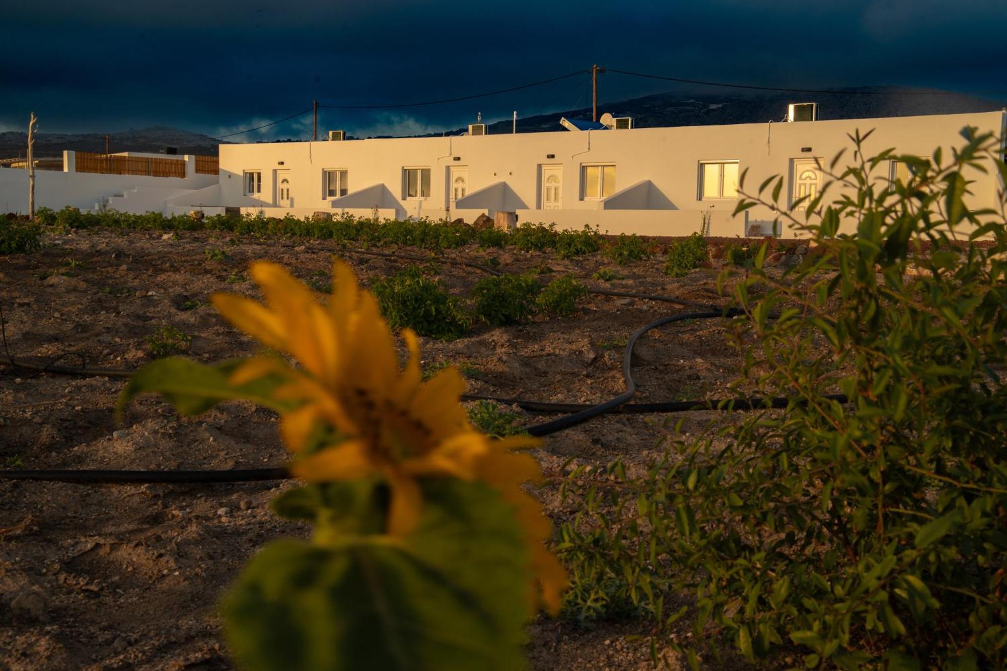 Calma Eco Houses Sunset View Emporio  Экстерьер фото
