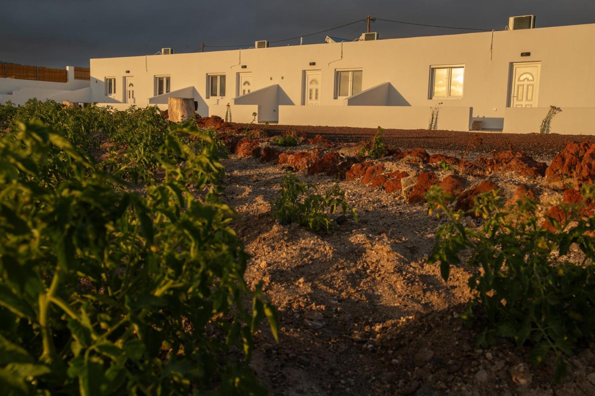 Calma Eco Houses Sunset View Emporio  Экстерьер фото